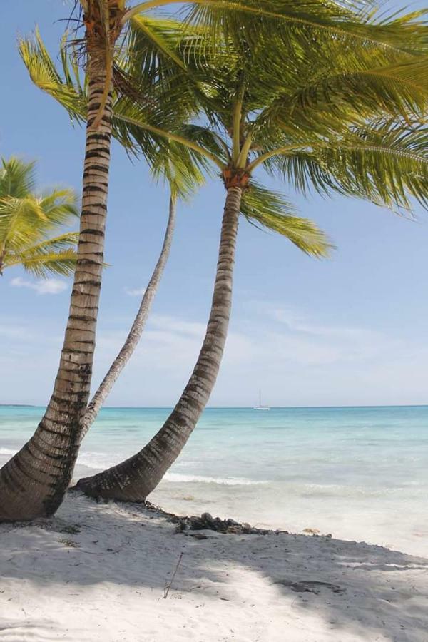 Herard Share Apartamento Punta Cana Zewnętrze zdjęcie